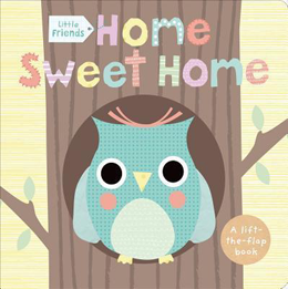 Home Sweet Home: a Lift-the-Flap Book