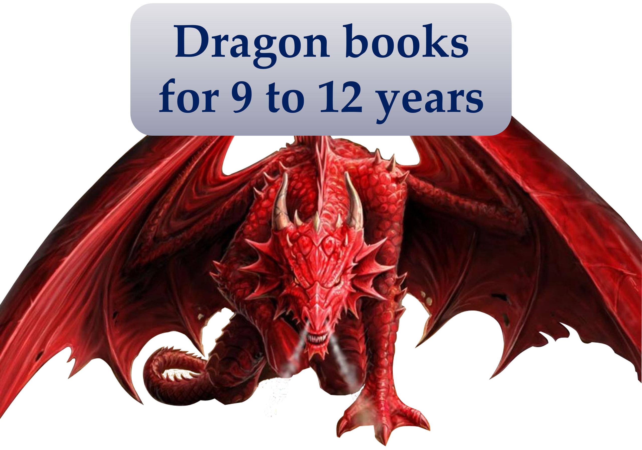 dragon for 9-12y