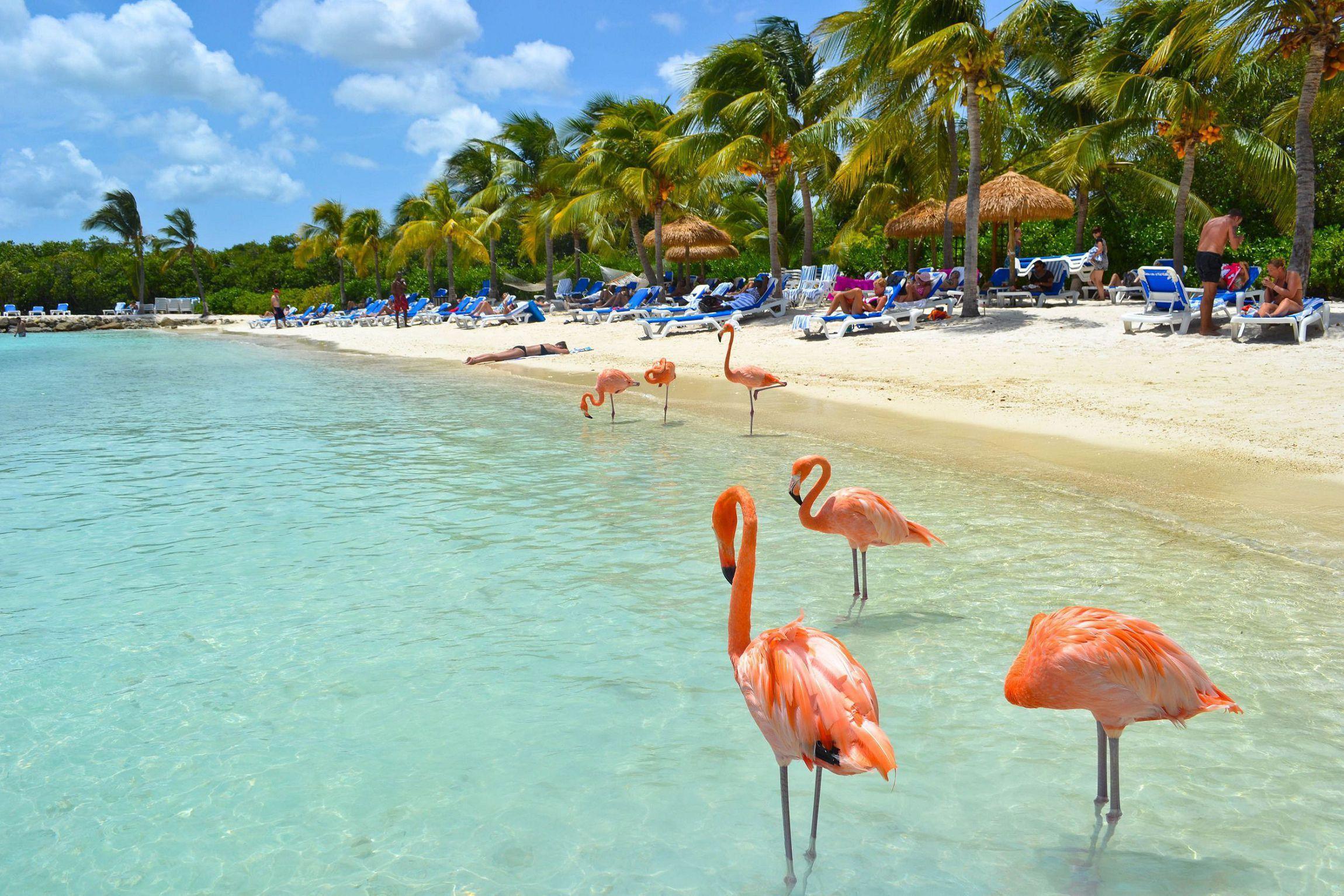 renaissance beach aruba