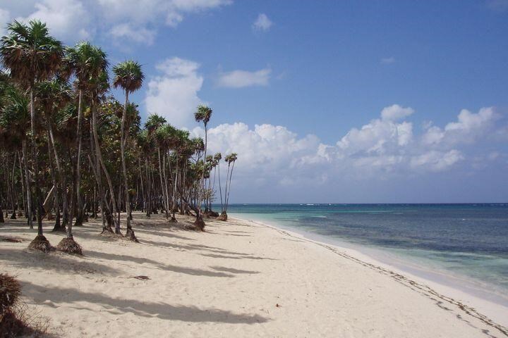 marbella beach roatan