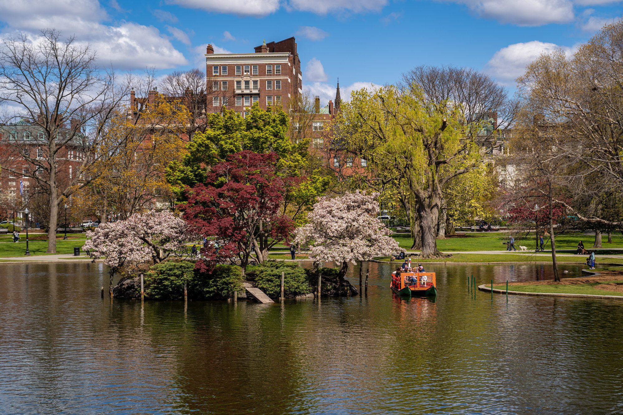 Ranked – Best Things to Do with Kids in Boston