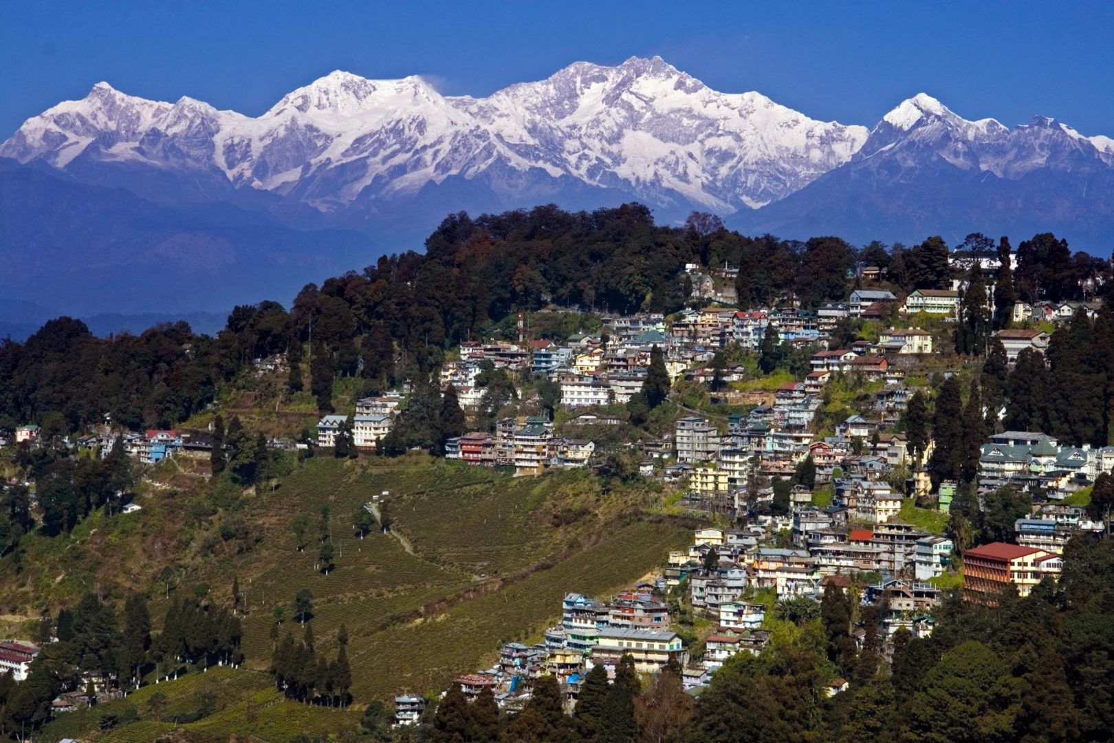 Ranked – Best Things to Do with Kids in Darjeeling
