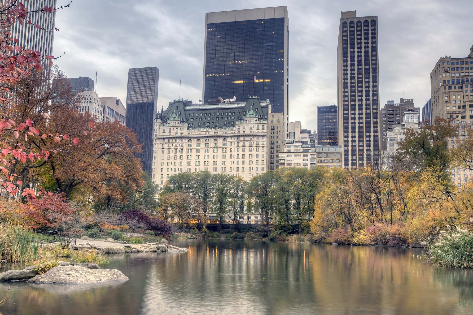 Ranked – Best Family-Friendly Hotels, Resorts, and Stays in New York City