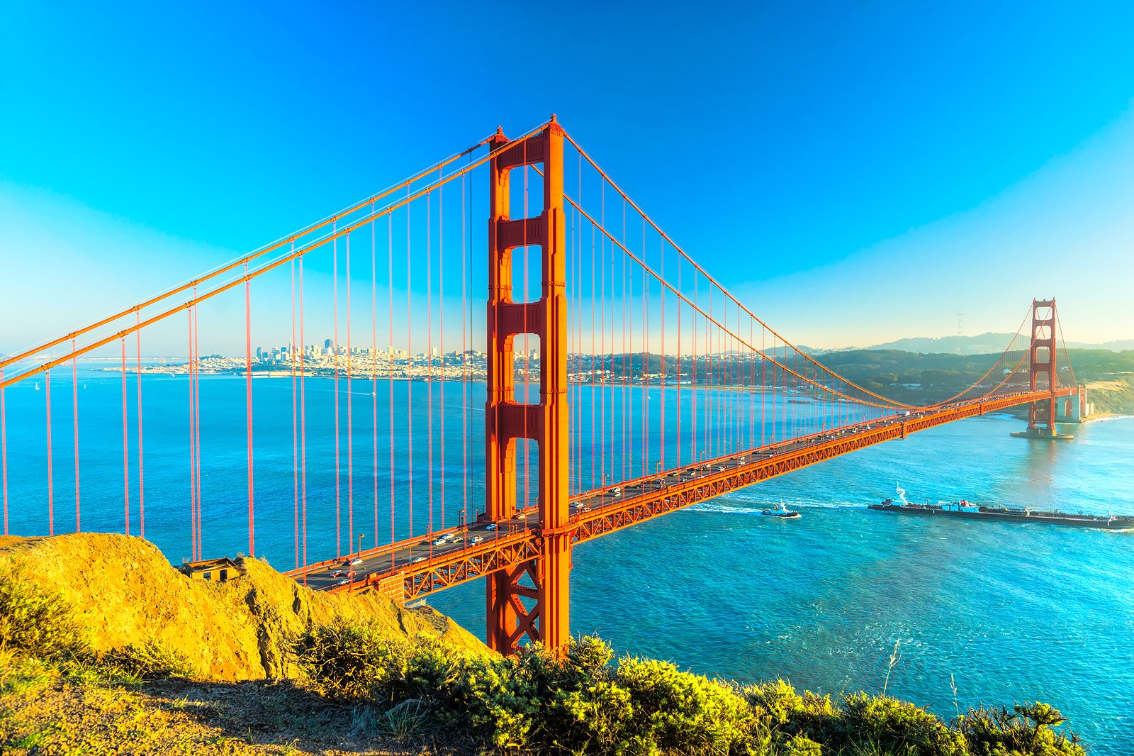 Ranked – Best Things to Do with Kids in San Francisco