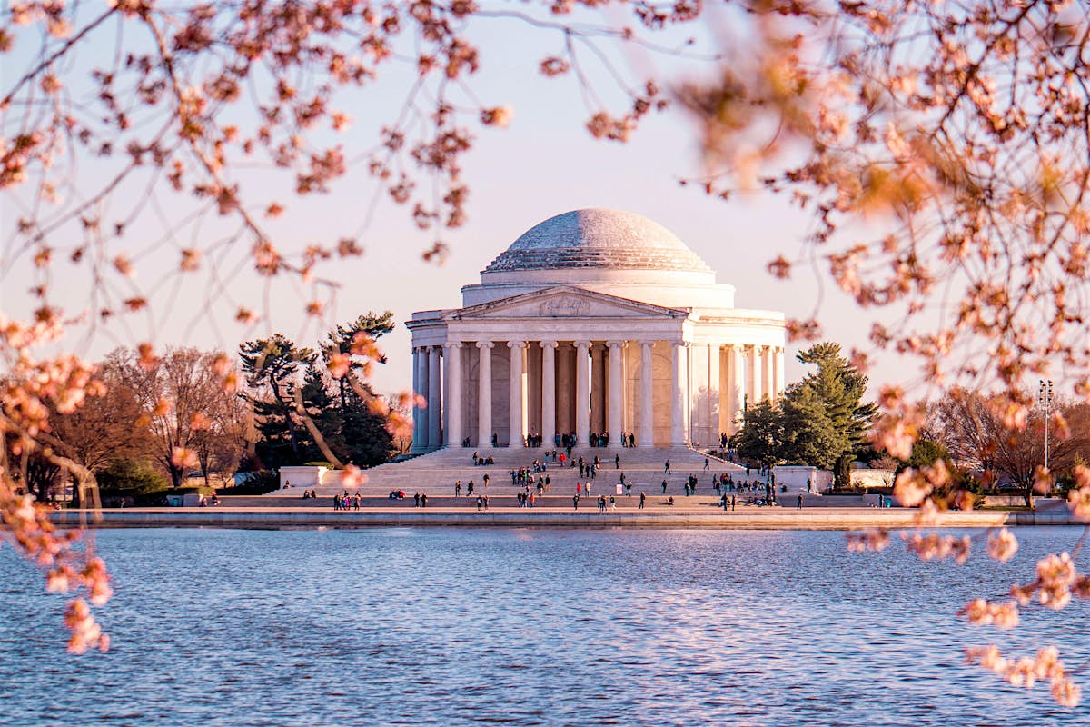 Ranked – Best Things to Do with Kids in Washington DC