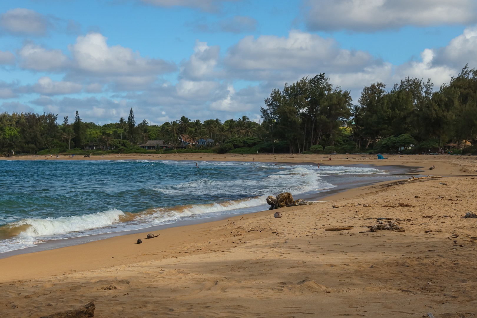 Anahola Beach Park (Hidden Gem for Families)