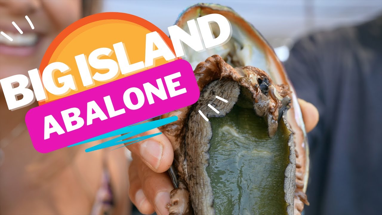 Big Island Abalone