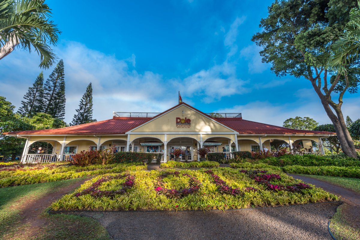 Dole Plantation