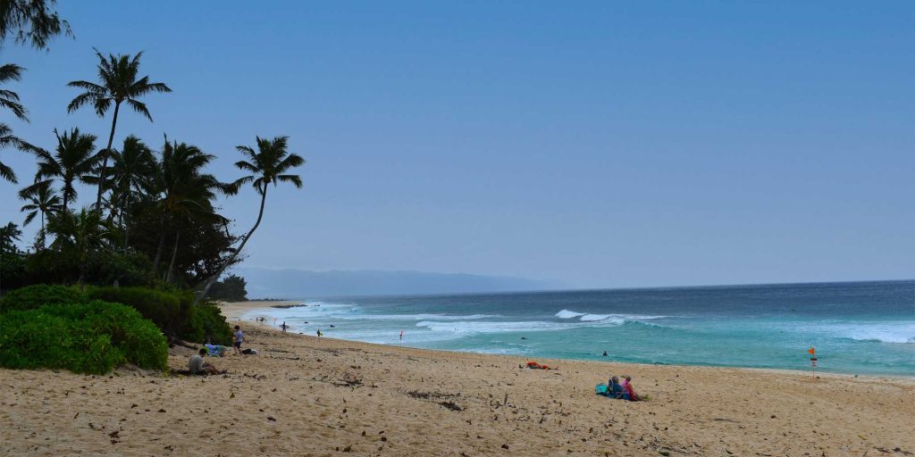 Ehukai Beach oahu