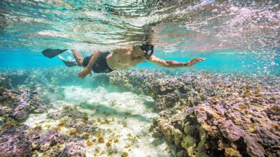 Hanauma Bay Snorkeling oahu