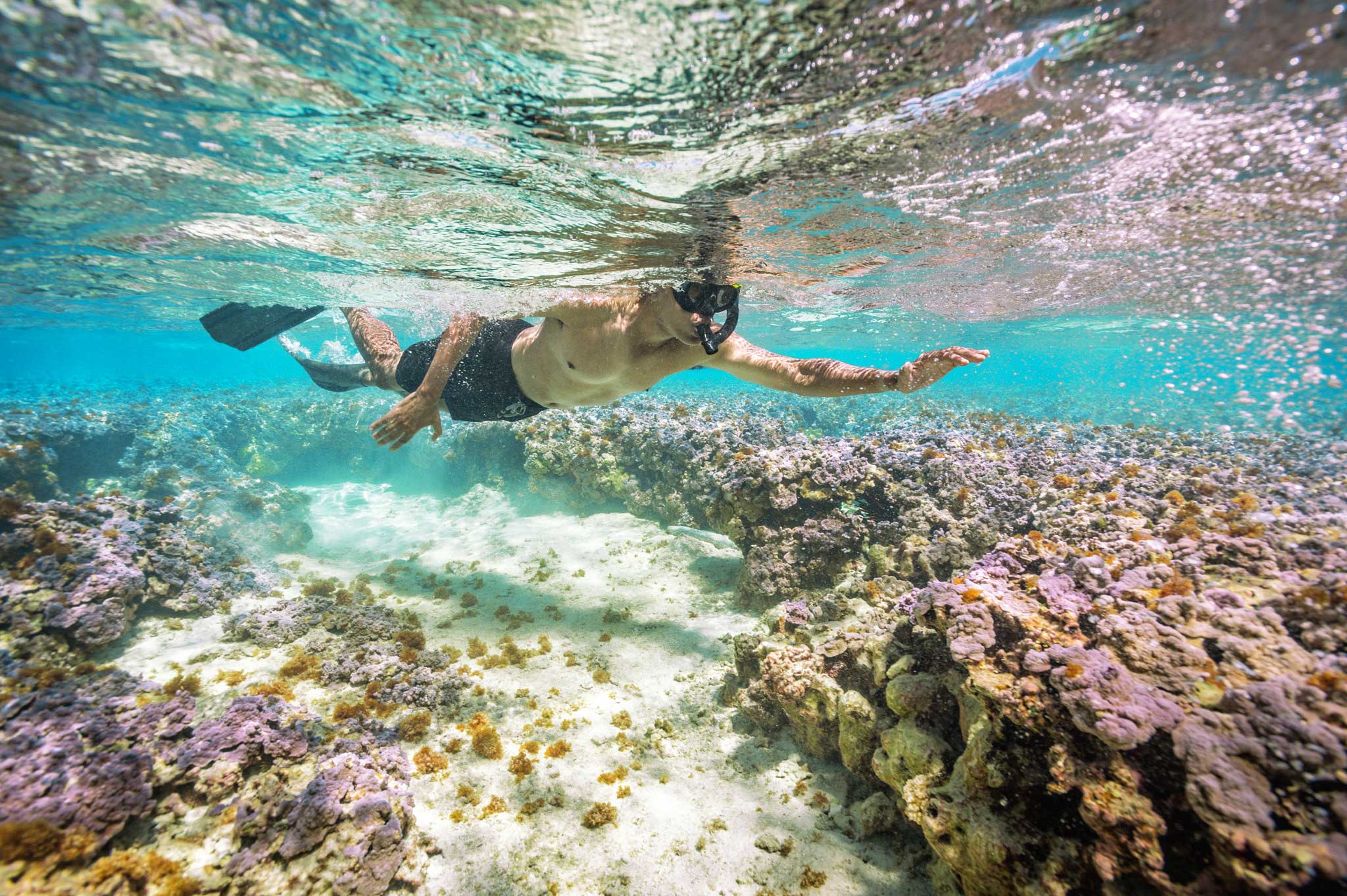 Hanauma Bay Snorkeling