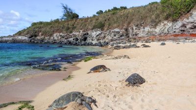 Hookipa-Beach maui