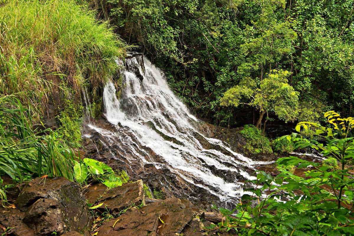 Ho'opi'i Falls Hike (Easy Waterfall Adventure for Kids)