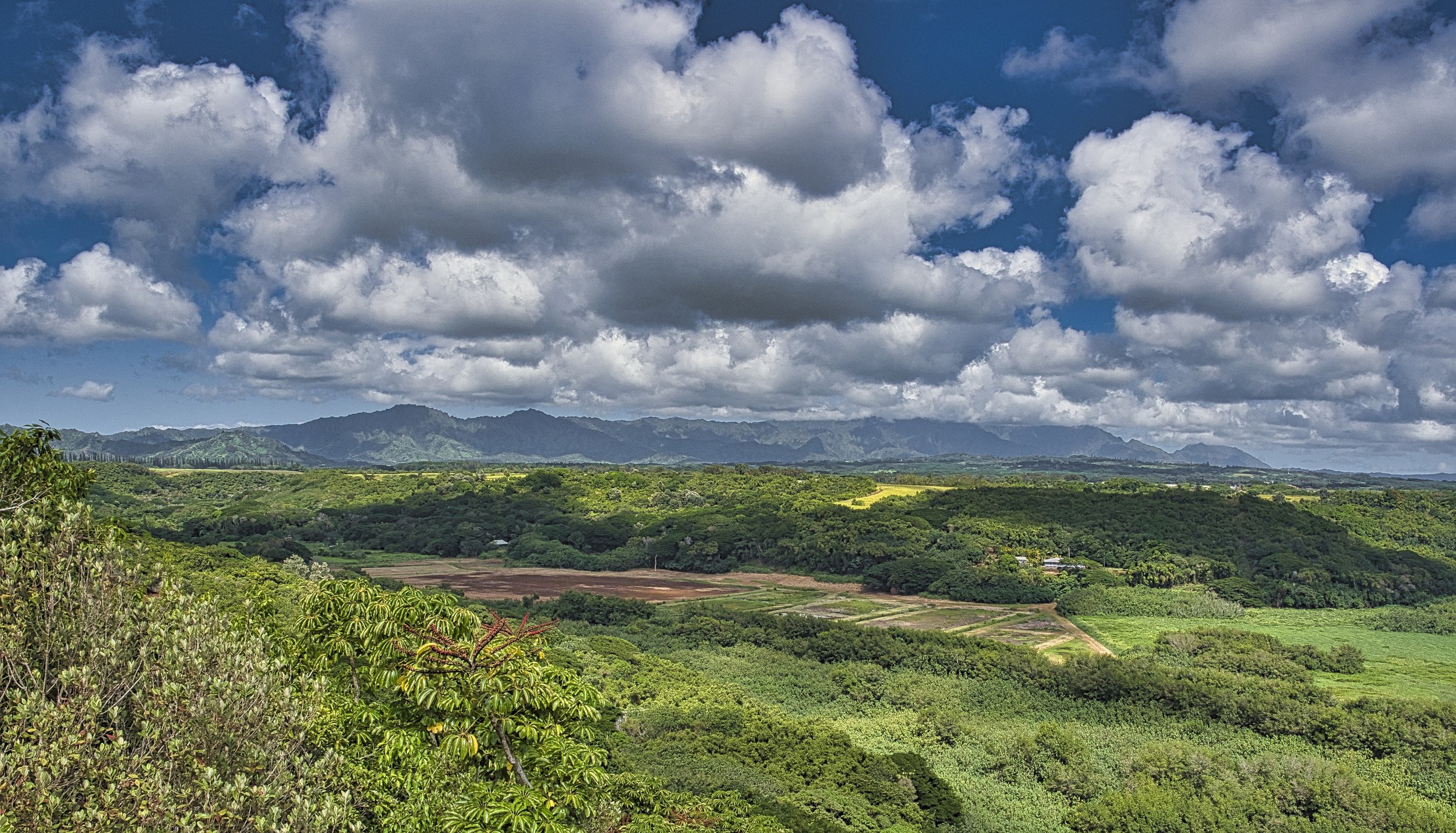 Huleia National Wildlife Refuge (Bird Watching & Nature Walks)