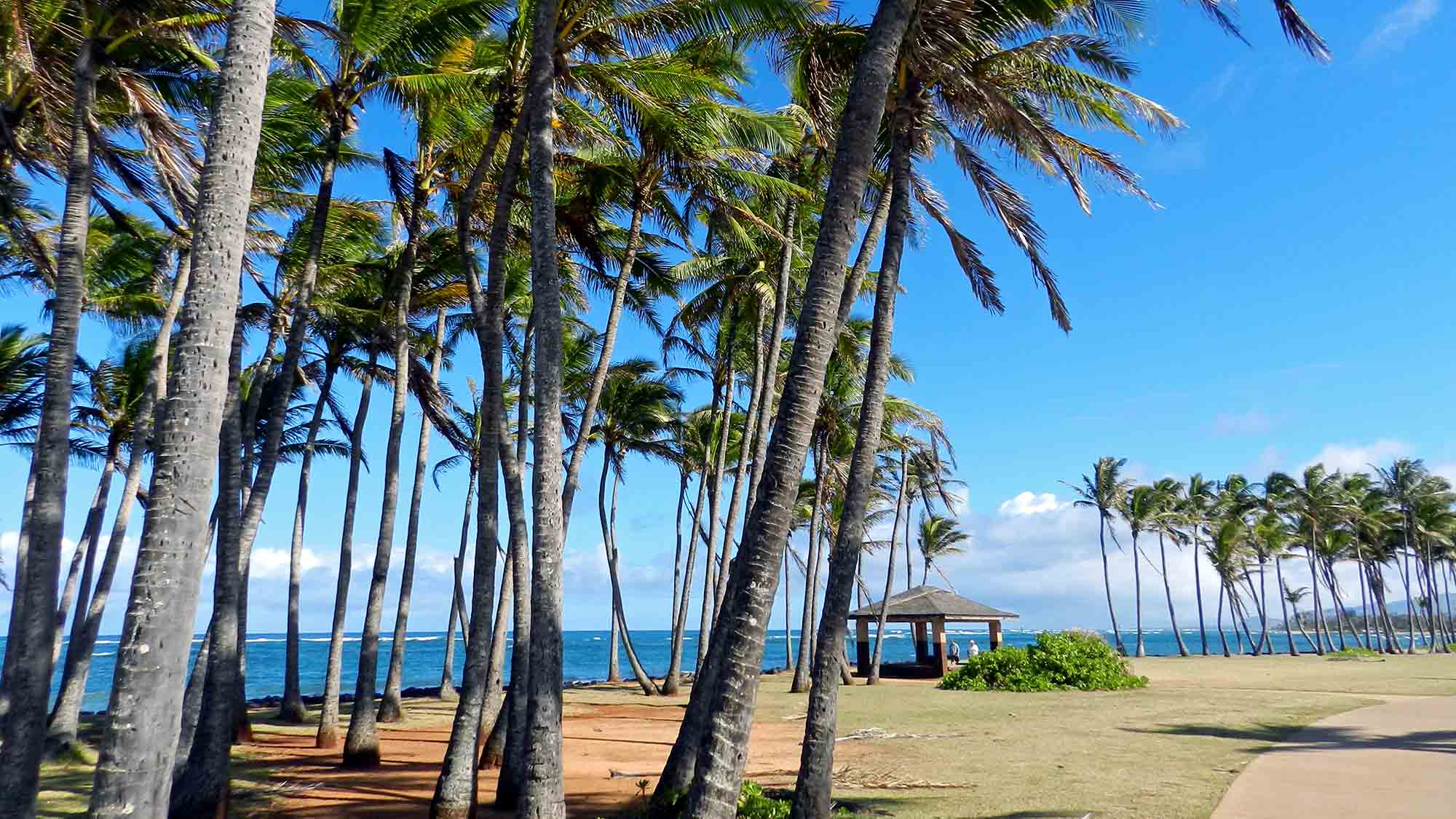 Kapa'a Beach Park