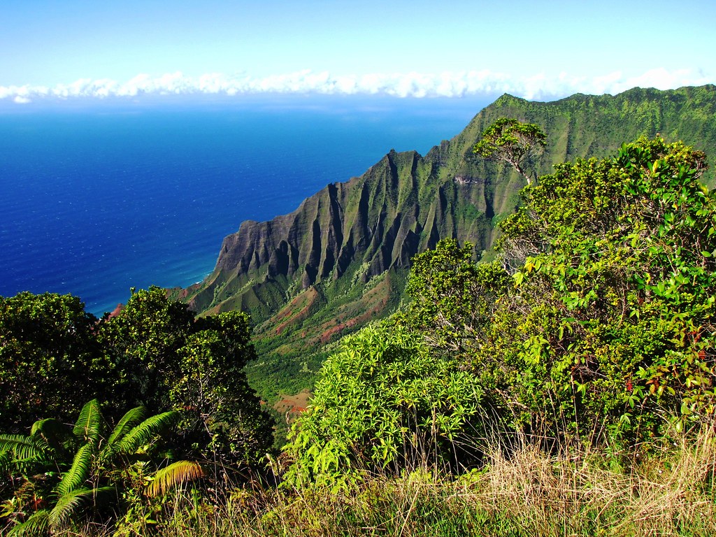Koke'e State Park & Kalalau Lookout