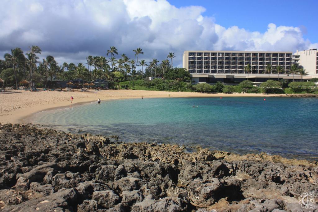 Kuilima Cove oahu