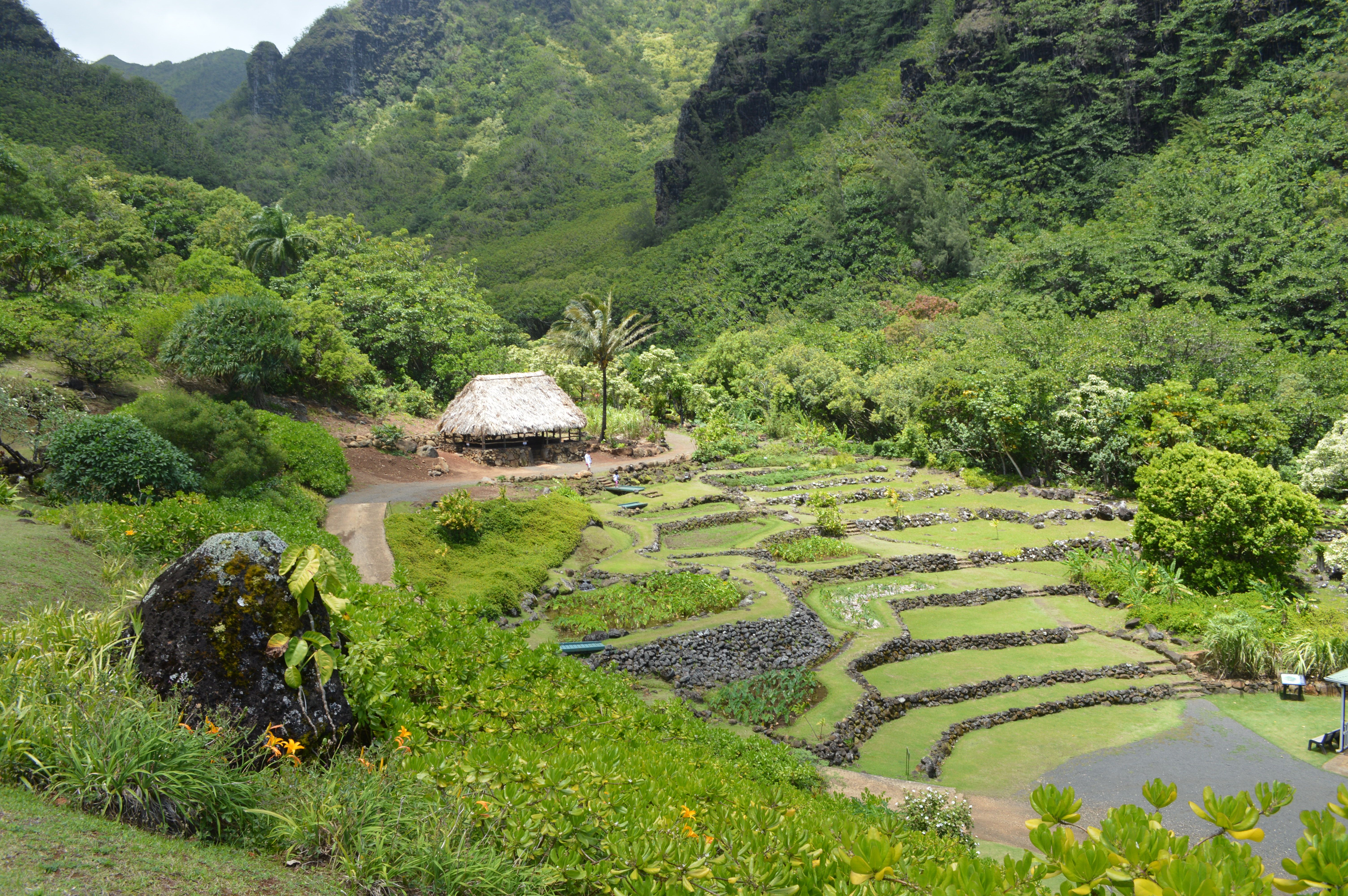 Limahuli Garden & Preserve