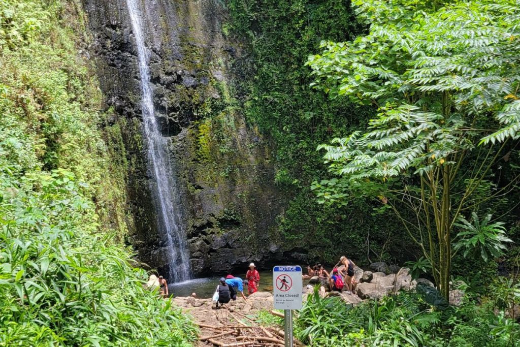 Manoa falls hike-oahu