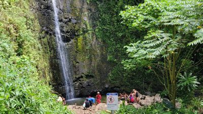 Manoa falls hike-oahu