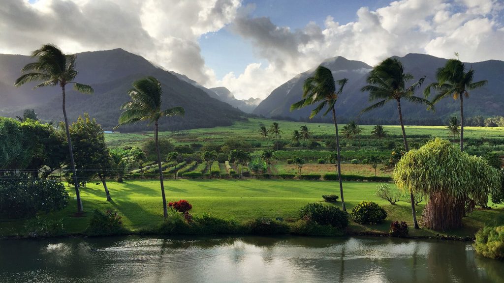 Maui Tropical Plantation maui