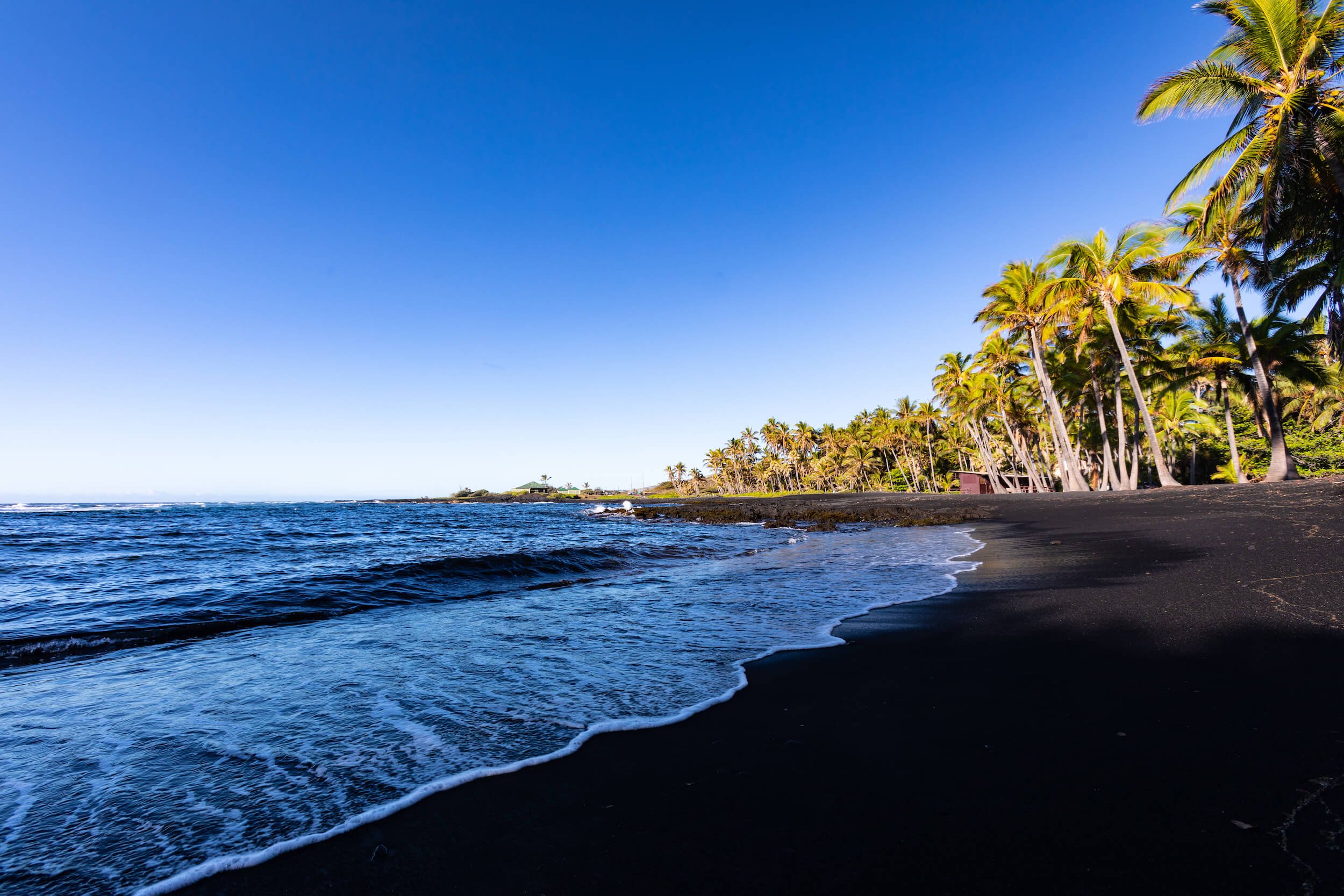 Punalu'u Black Sand Beach