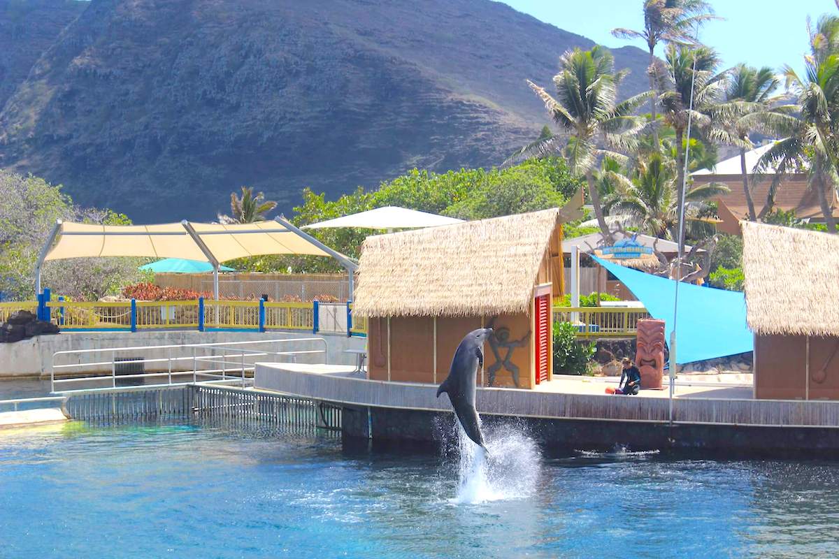 Sea Life Park
