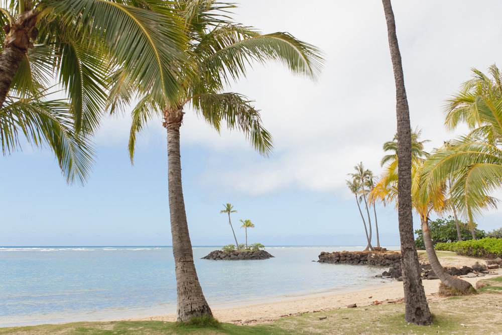 Waialae beach park oahu