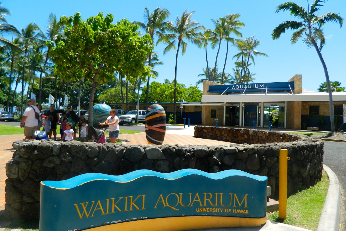 Waikiki Aquarium