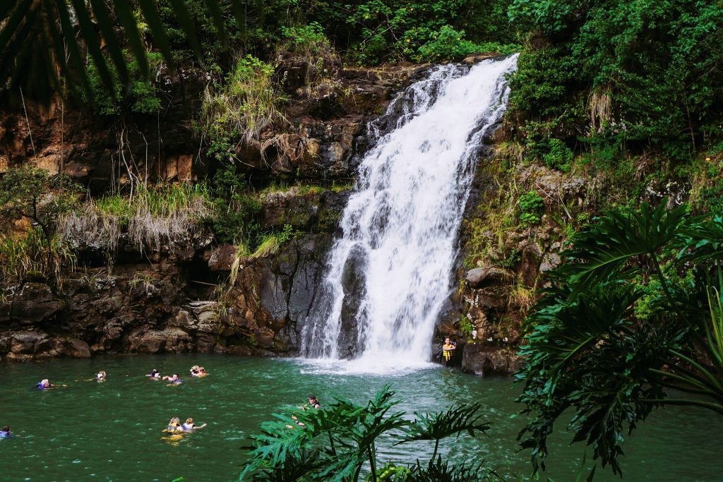 Waimea Valley & Waterfall Swim oahu