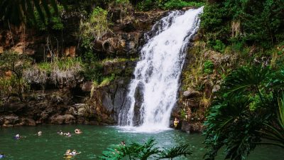 Waimea Valley & Waterfall Swim oahu