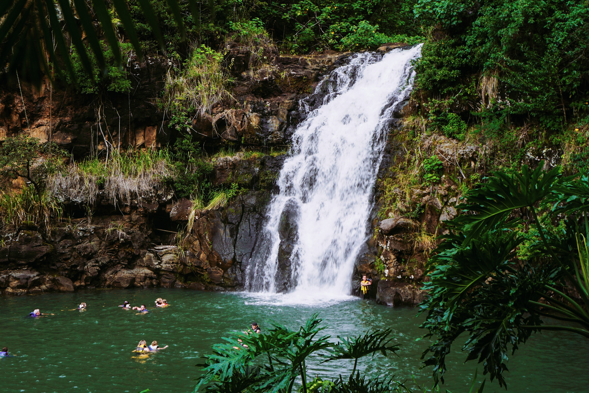 Waimea Valley & Waterfall Swim