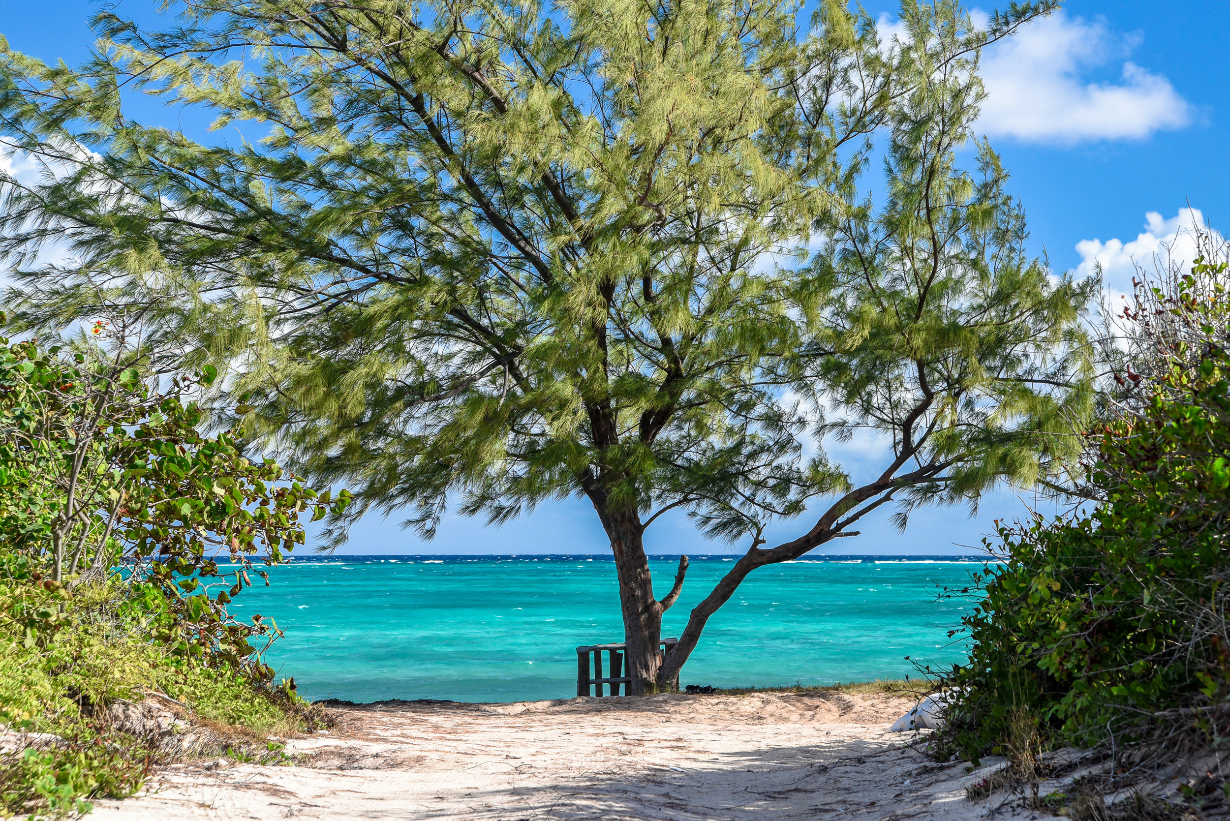 Barkers beach