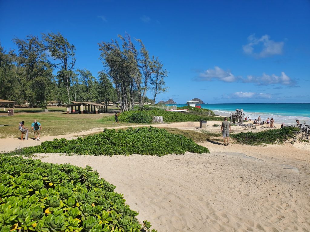 bellows field beach park oahu