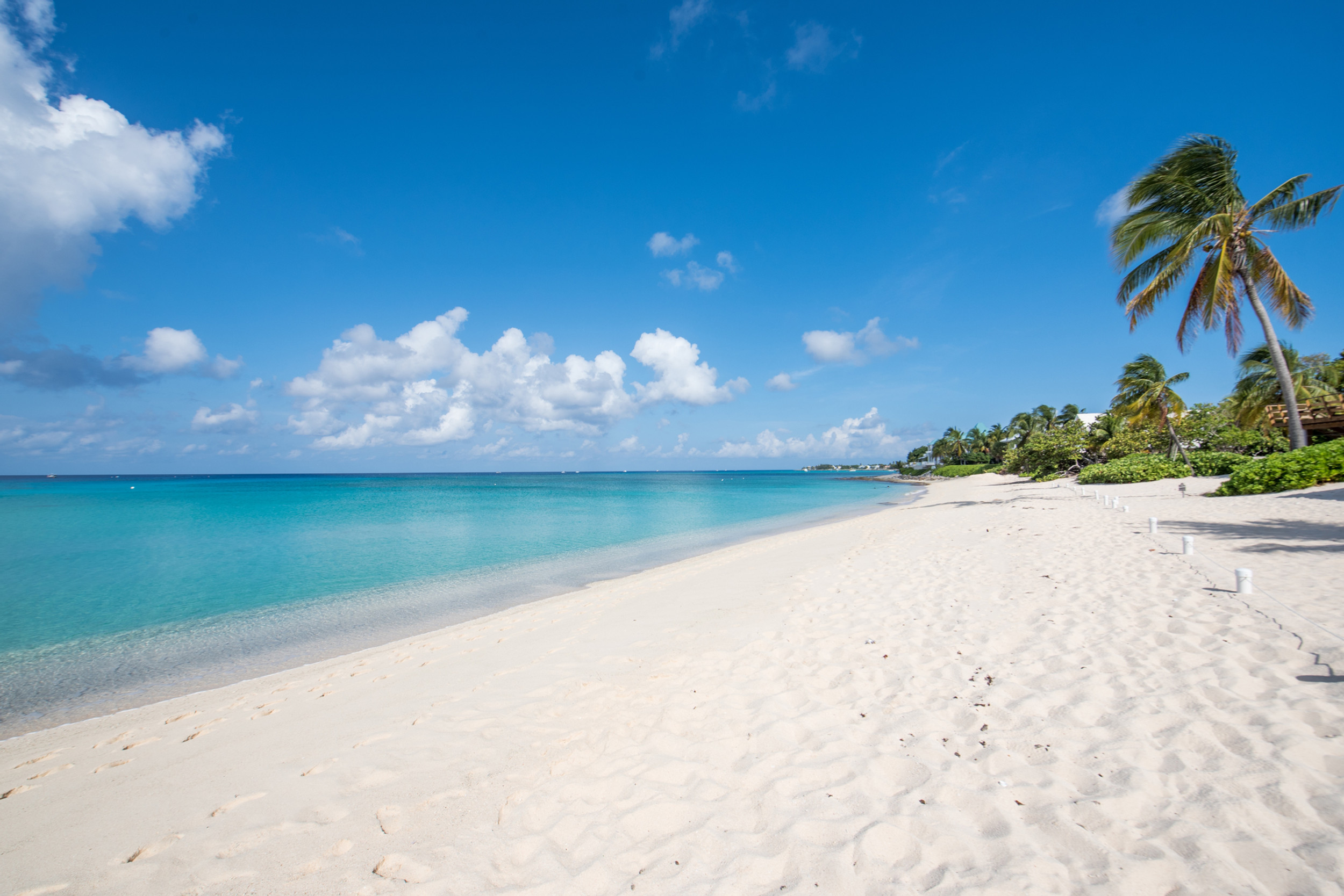 Boggy Sands Beach