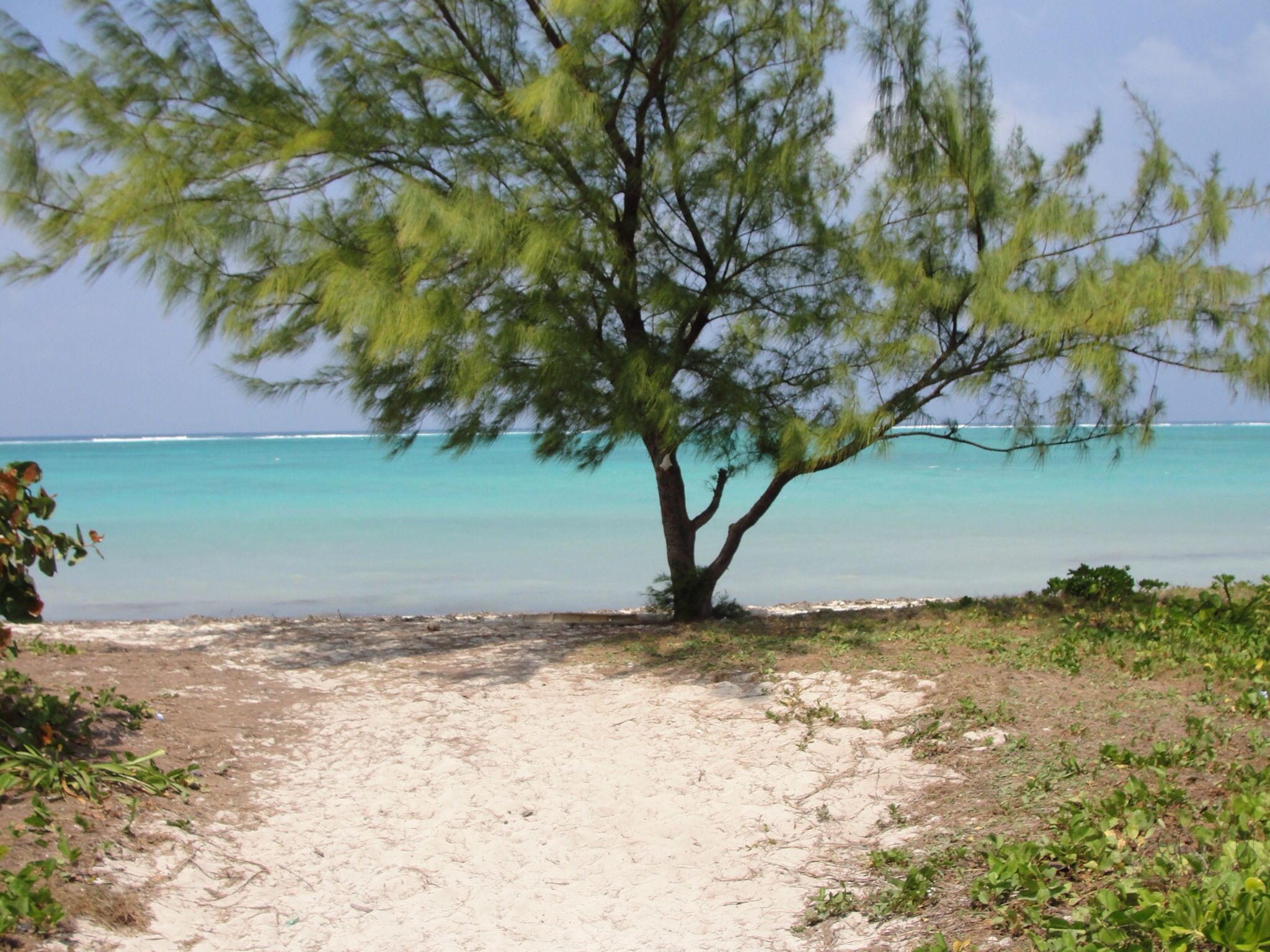 Grand Cayman National Park