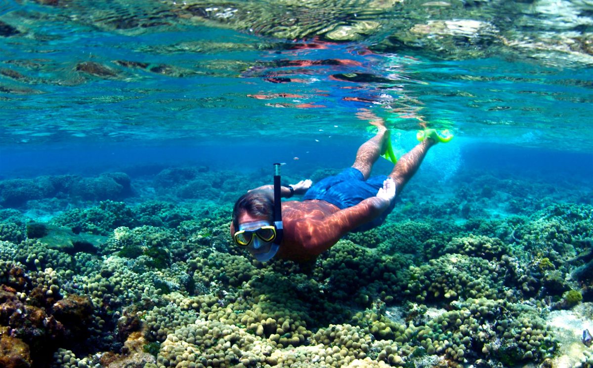 Sailing and Snorkeling Tours