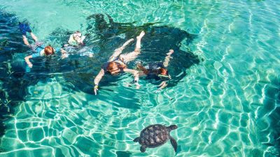 cayman turtle center