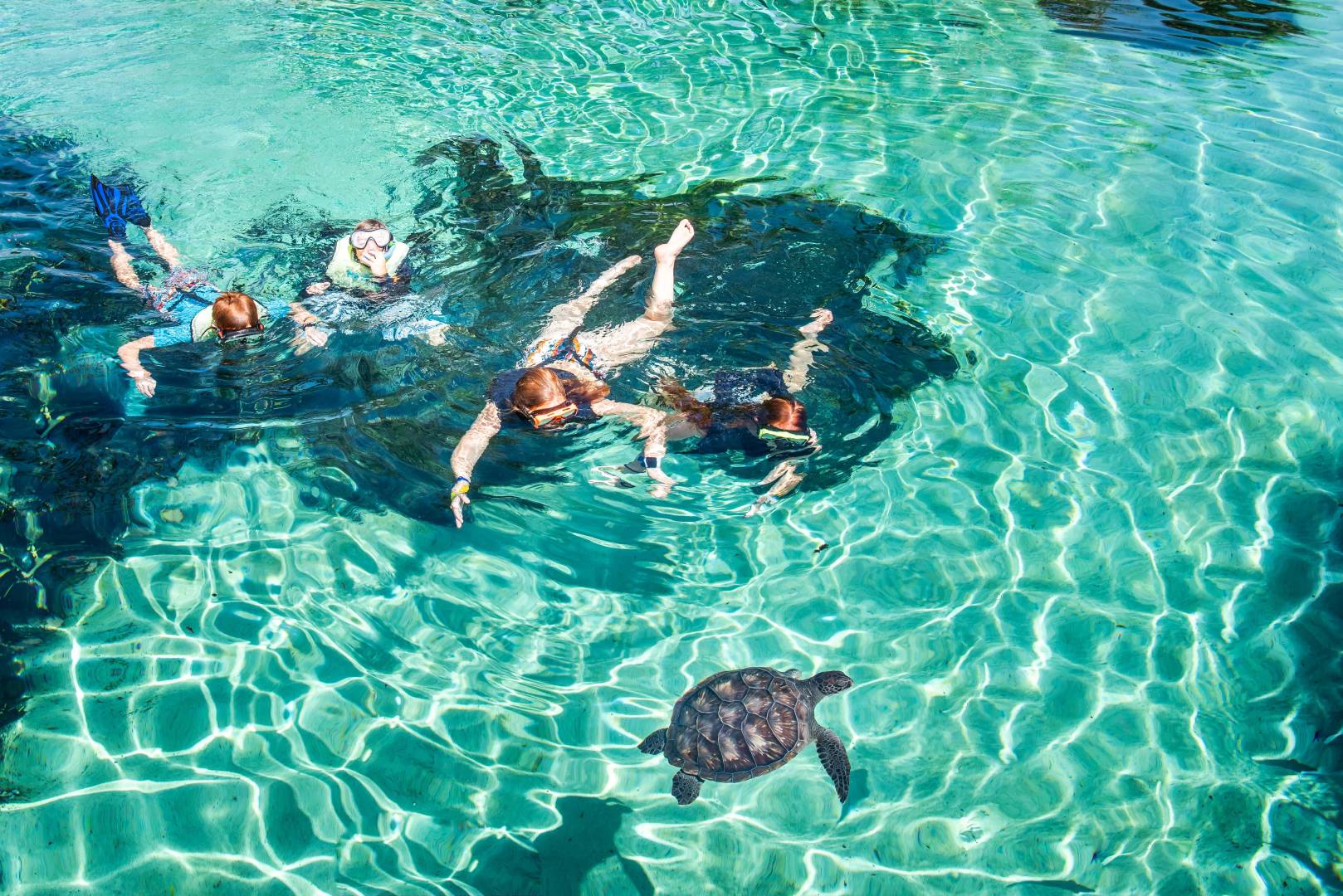 Cayman Turtle Centre