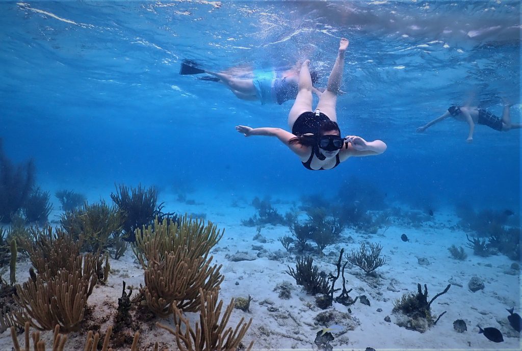 coral gardens cayman