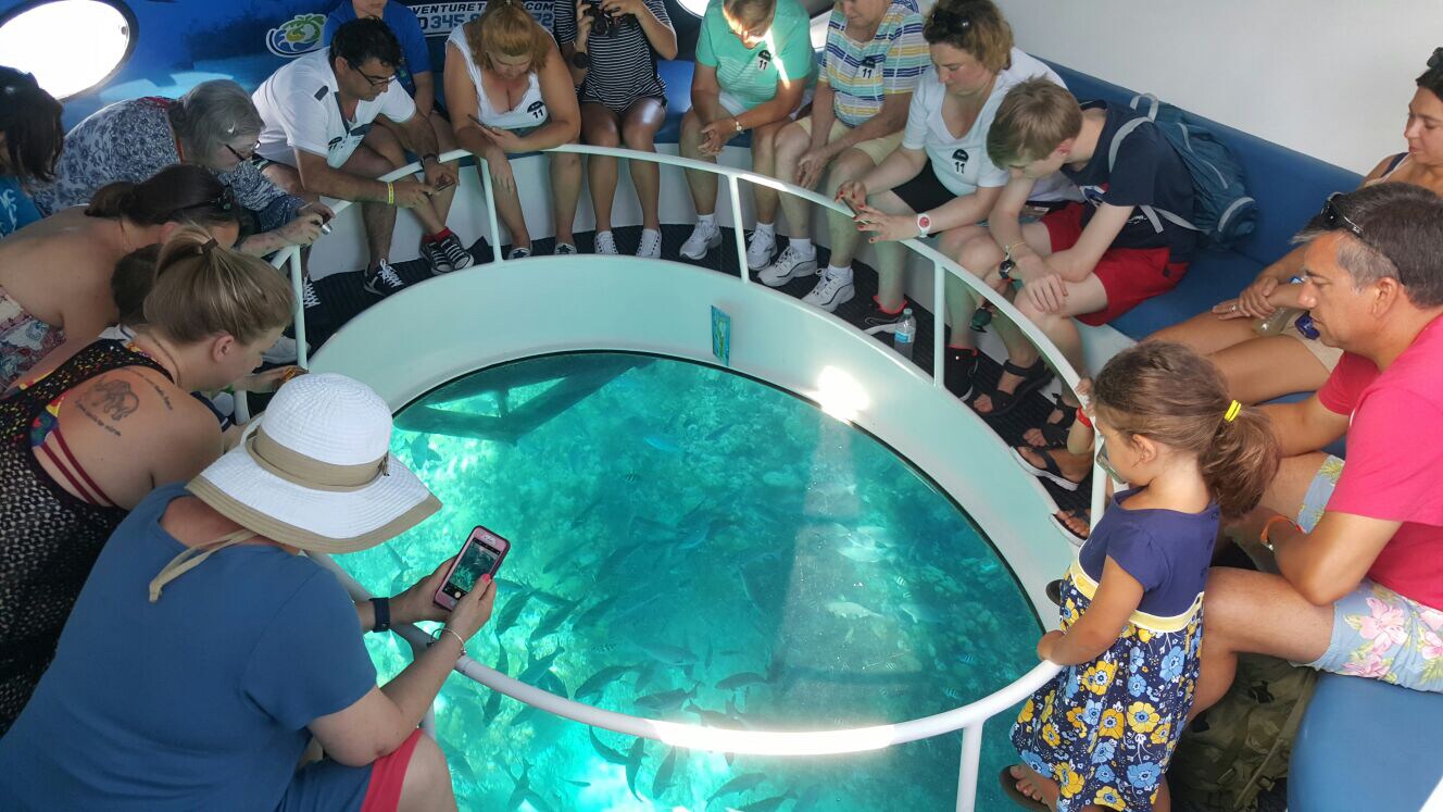 Island Tour by Glass-Bottom Boat
