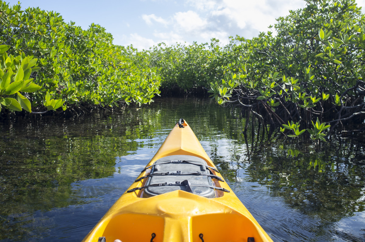 Cayman Kayaks