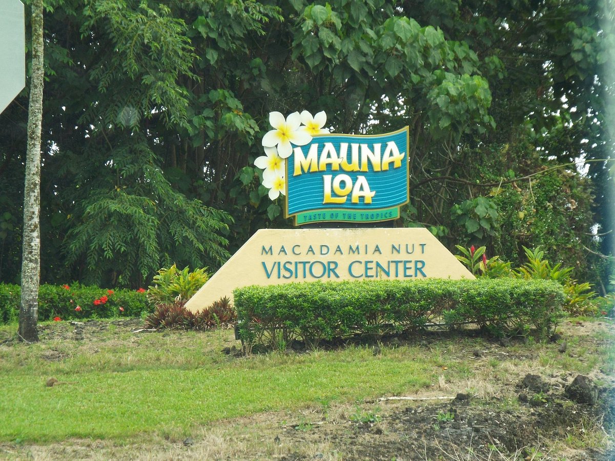 Mauna Loa Macadamia Nut Farm Tour