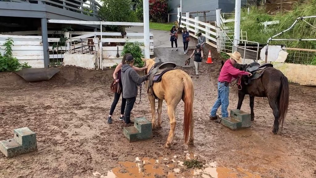 mendes horseback maui