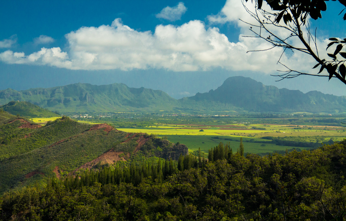 Sleeping Giant Trail (Short Kid-Friendly Hike with Amazing Views)