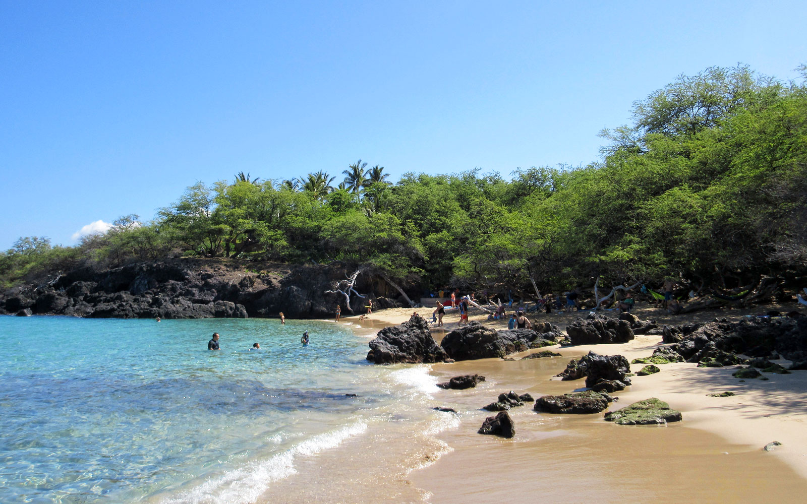 Snorkeling Guide to Waialea Bay, Big Island