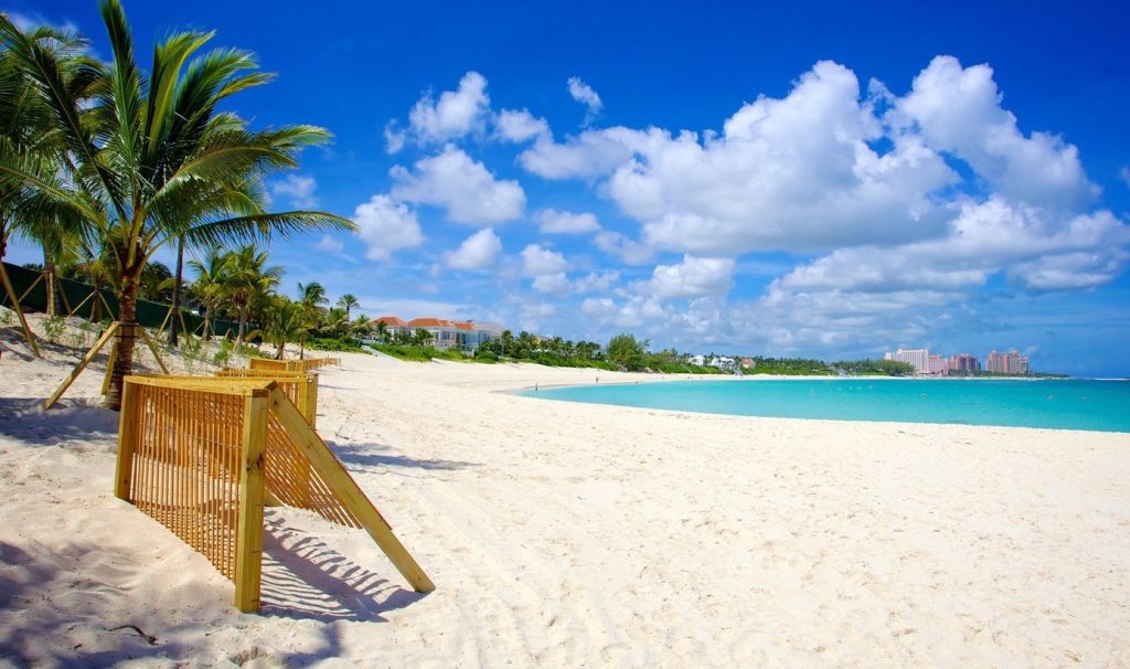 Cabbage-Beach-bahamas