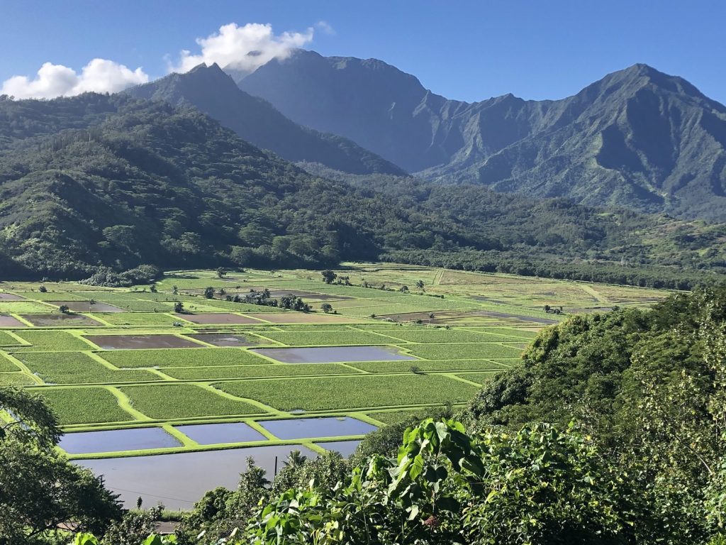 Hanalei lookouut trail kauai