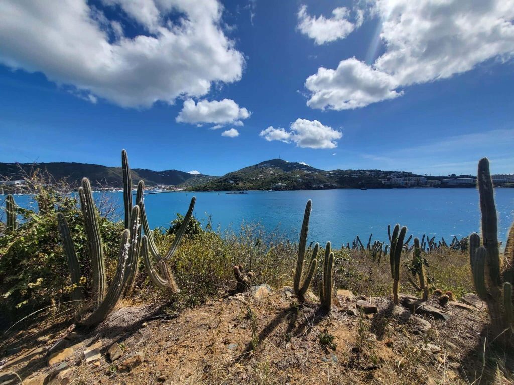 Hassel island st thomas