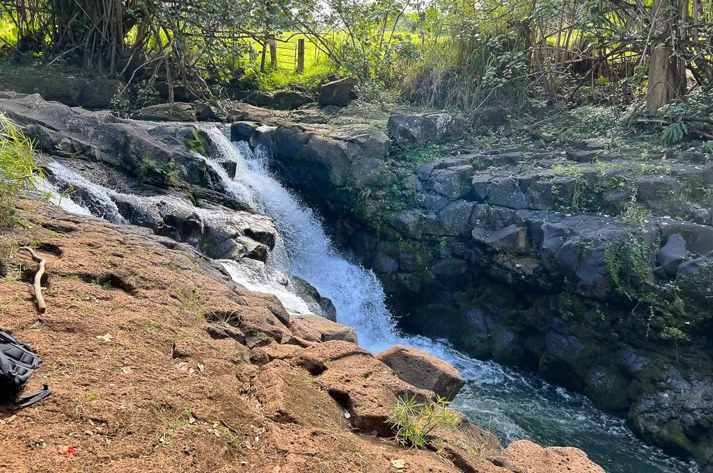 Hoopii-Falls-Trail-kauai